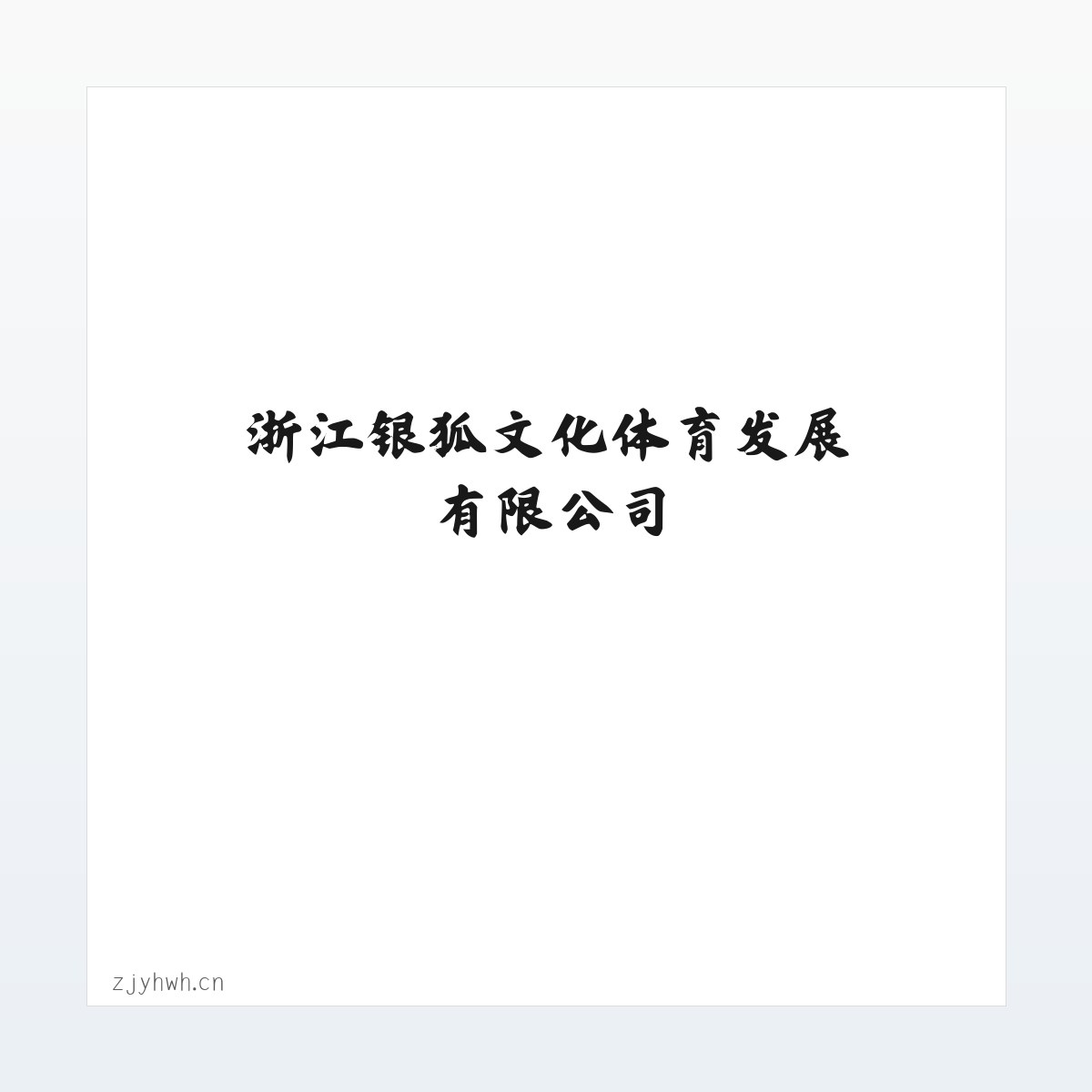 Products - 浙江银狐文化体育发展有限公司 方图